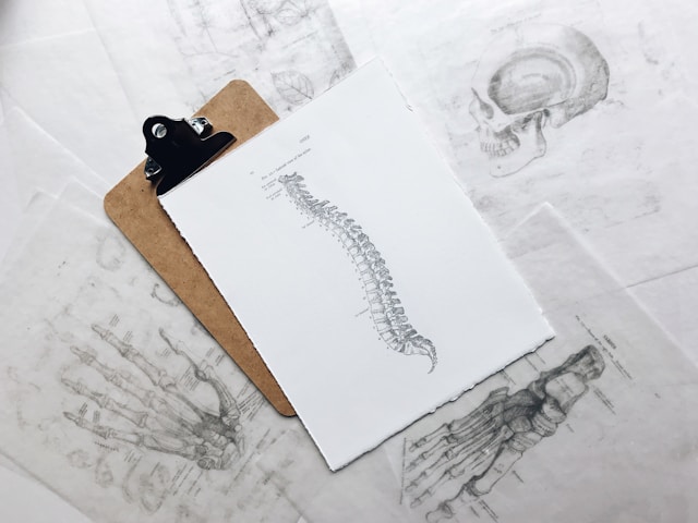 Chiropractor performing a spinal assessment